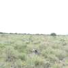 0.125 ac land for sale in Koma Rock thumb 6