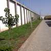 10,383 ft² Warehouse with Backup Generator in Mombasa Road thumb 2