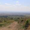 50*100 Land For Sale In Nakuru thumb 5