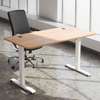 Standing Desk;Height Adjustable Standing Desk thumb 2