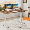 Electric Desk; 1.4 Electric Standing Desk thumb 13