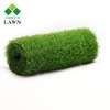 Carpet:100cm  Reception Office Carpet In Mogonga thumb 9