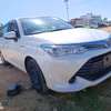 WHITE TOYOTA AXIO thumb 10