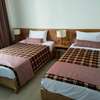 Serviced 2 Bed Apartment with En Suite in Vipingo thumb 14