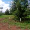 Prime Residential plot for sale in Kikuyu, kamangu thumb 4