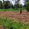 PRIME 1/4 ACRE PLOT FOR SALE- SALAMA GARDENS, GITERO-NYERI! thumb 1
