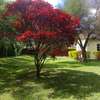 Lovely home 5br with Sq  for rent in Karen Bomas thumb 2