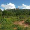30 Acres of Virgin Land In Makindu Are For Sale thumb 1