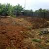 Prime 1/2 acre land for sale at Maguguni - Thika thumb 2