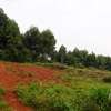 0.5 ac Land in Tigoni thumb 2