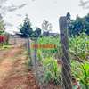 0.086 ha Residential Land at Migumoini thumb 9