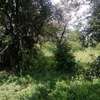 9 acre land for sale in Karen thumb 3