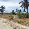 Commercial Land in Vipingo thumb 7
