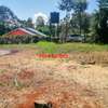 0.05 ha Residential Land at Ondiri thumb 11