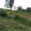 0.5 ac Residential Land at Nyari thumb 12