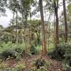 5 ac Land in Kitisuru thumb 5