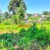 0.05 ha Residential Land at Ondiri thumb 6