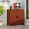 Office Cabinet: Wooden Modern Office Cabinet thumb 0
