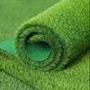 ARTIFICIAL GRASS CARPET thumb 2