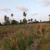 12 ac Commercial Land at Bomani Area thumb 2