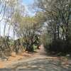 5000 m² residential land for sale in Ngong thumb 8