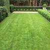 Artificial Grass Carpet Always Perfect for beauty thumb 3