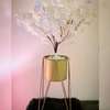 Indoor Luxurious Golden Decorative Plant Stand thumb 2
