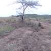 One Acre Of Land For Sale in Tinga / Oletepesi thumb 5