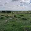 Land for sale in konza thumb 6