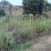 0.05 ha Residential Land in Kamangu thumb 3