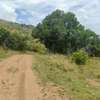 Land in Narok thumb 7