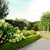 Bestcare Garden Services Kahawa Sukari,Garden estate,Ruaraka thumb 3