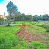 0.05 ha Residential Land in Gikambura thumb 8
