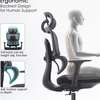 Office Chair: High Back Orthopedic Lumbar Support Chair thumb 2
