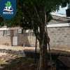3 Bed House with En Suite at Guango East Estate thumb 6