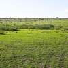 residential land for sale in Kiserian thumb 2