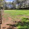0.38 ac Commercial Land at Acre Ithano thumb 1