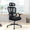 Office Chair: Executive Proper Orthopedic Posture Chair thumb 0