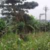 10 Acres Prime Land for Joint Venture in Thindigua Kiambu thumb 0