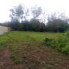 DIANI RESIDENTIAL PLOT ON SALE thumb 1