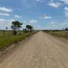 JUJA FARM PRIME PLOTS FOR SALE thumb 1