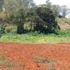 0.5 ac Residential Land at Muthithi thumb 3