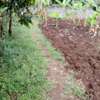 Prime 1/2 acre land for sale at Maguguni - Thika thumb 1