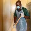 TOP 10 Best House Cleaners In Utawala,Embakasi,Imara Daima thumb 14