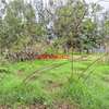 0.05 ha Commercial Land in Kikuyu Town thumb 5