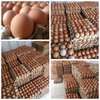 Wholesale - Eggs, farm fresh yellow yolk thumb 3