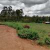 0.05 ha Land in Kikuyu Town thumb 6
