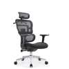 Office Chair: Mesh Orthopedic Designed Office Seat thumb 5