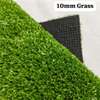 10MM GRASS PERFECT FOR YARDS thumb 2