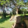 4 Bed House with Garden in Muthaiga thumb 36
